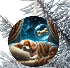 King Charles Spaniel Dog