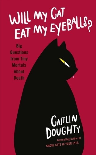Will cat eat - will,