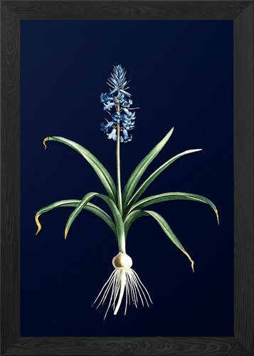 Vintage botanical blue - vintage, on