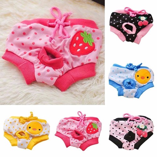 Female dog pet season - pet, heat