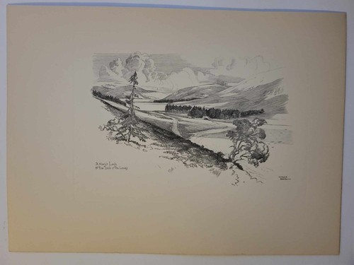 Vintage pencil drawing - vintage, print
