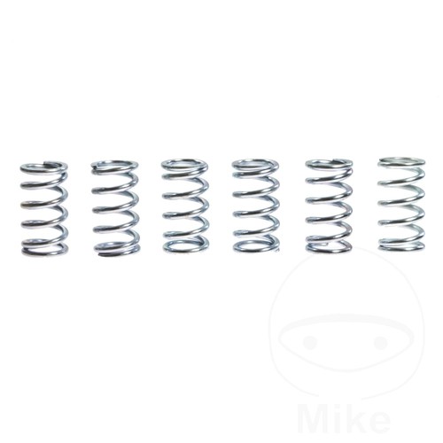 Clutch spring kit - spring,
