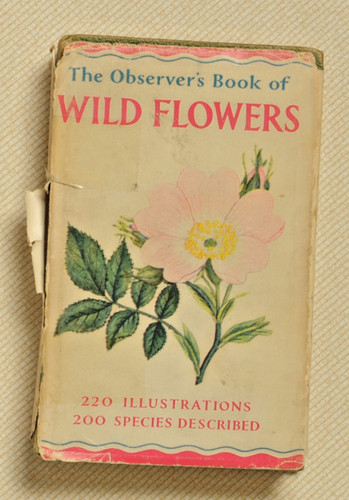 The observer book - the, wild