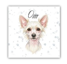Chinese Crested Personalised