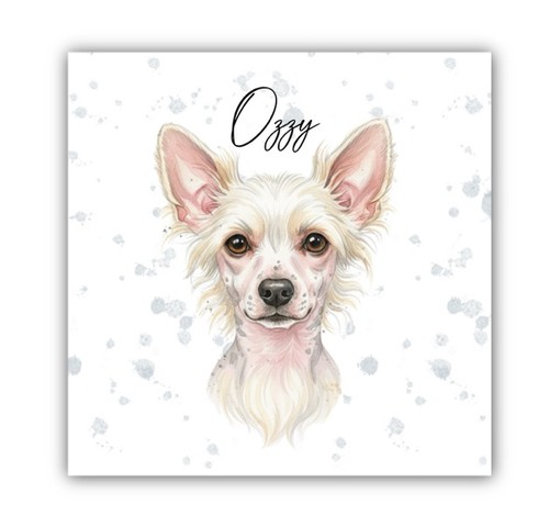 Chinese crested personalised - crested,