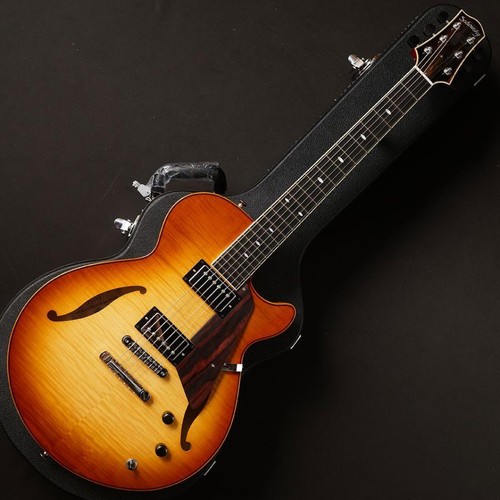 Sadowsky semi hollow cmb - semi,