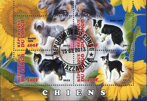 Dogs stamp pet bearded - dogs,