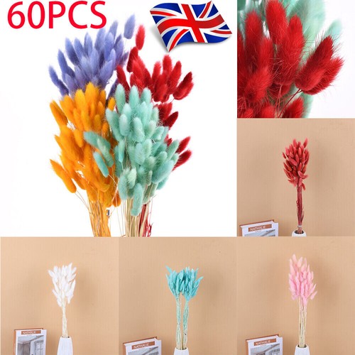 60pcs rabbit tail grass - tail, bunny