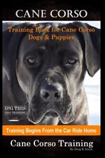 Naiyn - Cane Corso Training