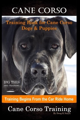 Naiyn cane corso - -,