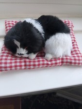 "The Beautiful Miniature Car