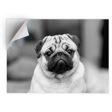 1 x Vinyl Sticker A4 - BW -