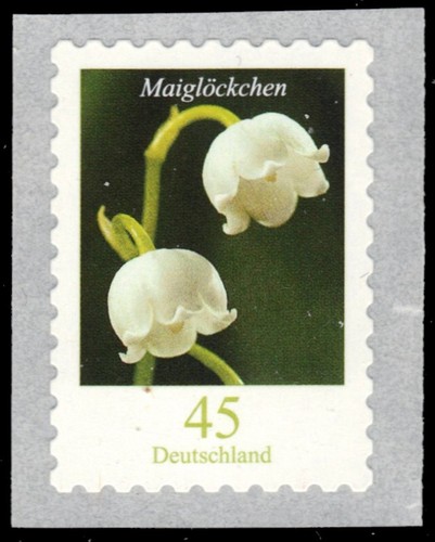 Germany 2419 lily of - germany,