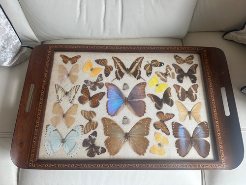Wooden vintage real - wooden,