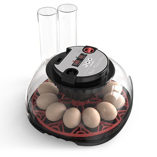Egg incubator fully - 12,