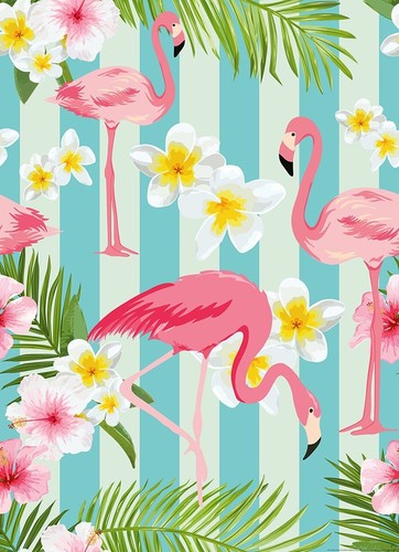 Flamingos photo wallpaper - flamingos,
