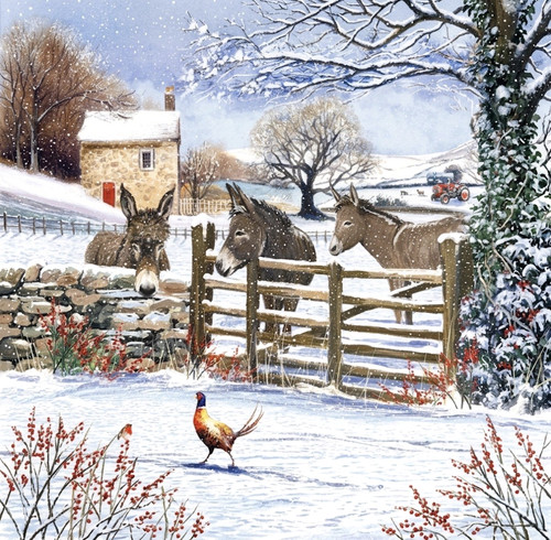 Oak tree animals charity - oak,