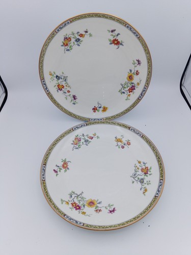 Cauldon dinner cake plate - x,