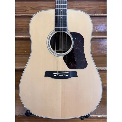 Walden d710 dreadnought - walden,