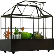 Large Tall Plant Terrarium