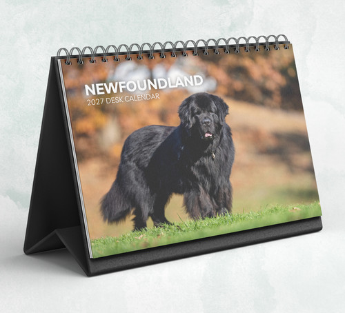 Newfoundland desk calendar - desk,