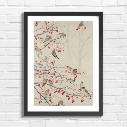 Cedar waxwing birds and - waxwing,