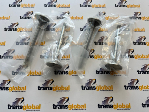 Exhaust valve for land - valve,