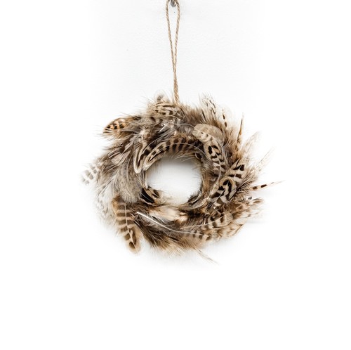 Natural pheasant feather - pheasant,