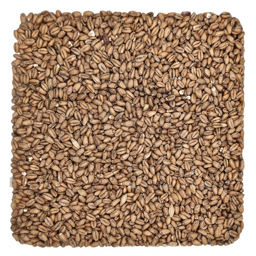 Home brew ohio red wheat - wheat, grain