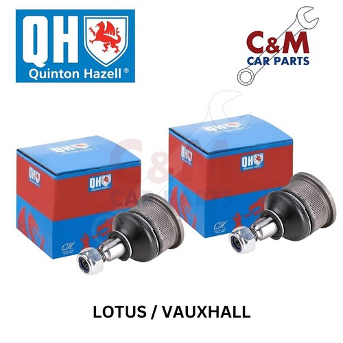 Bottom ball joint pair - bottom, fits
