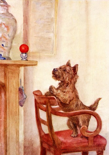 Cairn terrier dog - terrier, greeting