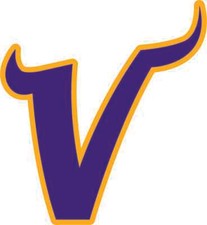 MINNESOTA VIKINGS Vinyl Decal