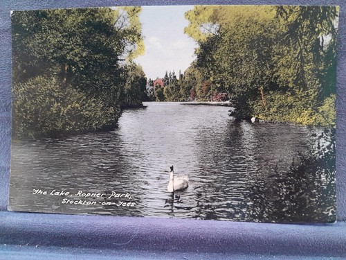 Stockton tees roper - tees, park