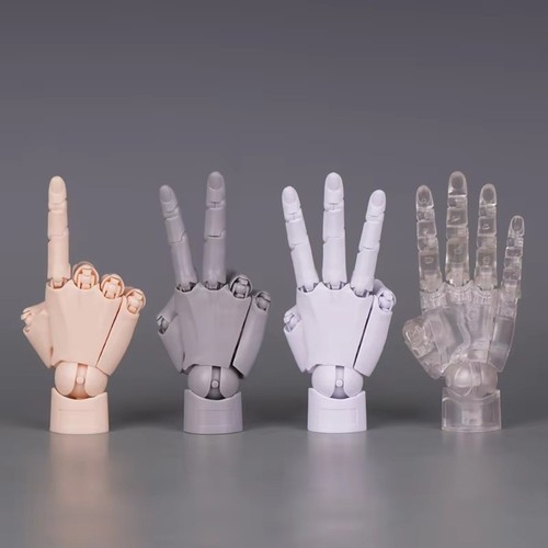 Movable joints human - movable,