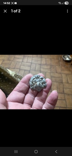 Roman lead lion head - lion,