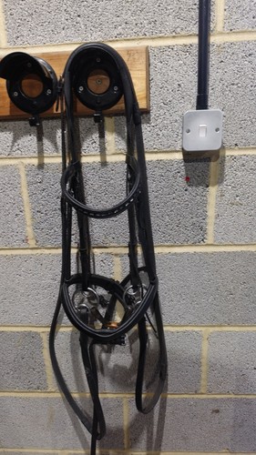 Mieux padded dressage - le,