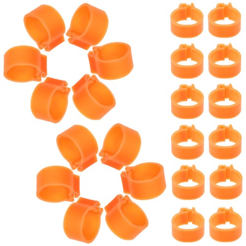 100 pcs practical pigeon - 100,