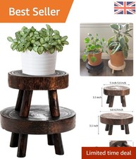 Natural Wood Mini Plant