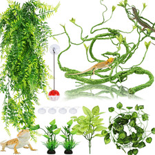 Bearded dragon terrarium vines - terrarium,