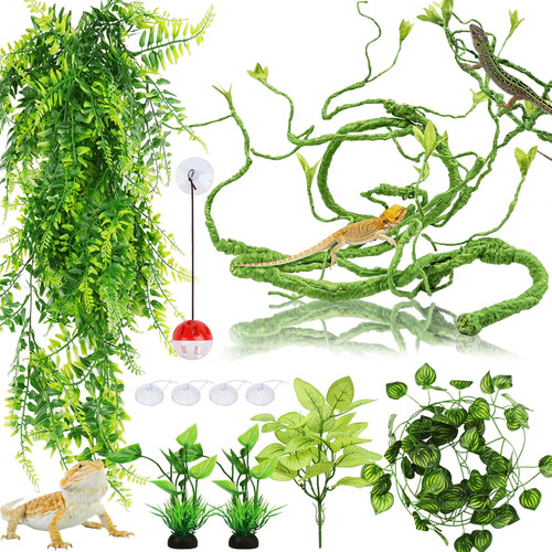 Bearded dragon terrarium vines - bearded,