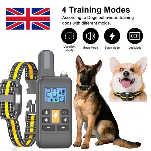 800m remote electric shock - 800m,