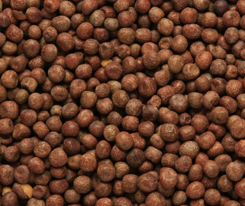 20kg maple peas pigeon food - pigeon, /