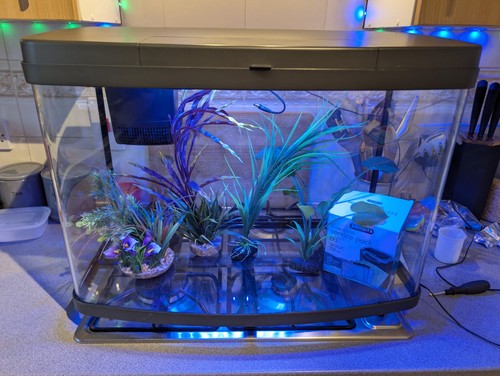 Love fish litre panorama - 64,