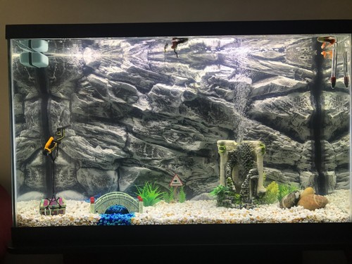 Aquarium background grey - background, 3d