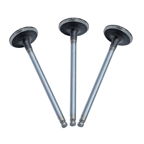 Exhaust valve for - exhaust, citroen