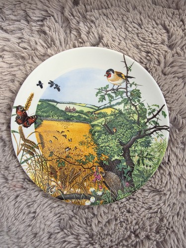 Wedgwood the village - wedgwood,