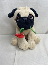 Card Factory Dog Teddy Bear