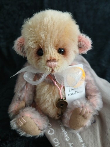 Charlie bears rosebud minimo - bears,