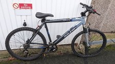 Raleigh Mustang mountain bike