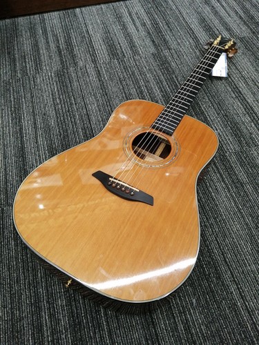 Furch d23 acoustic guitar - acoustic,